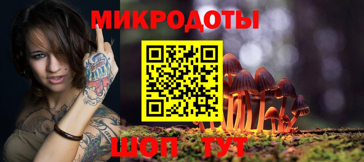 Галлюциногенные грибы мицелий Александров