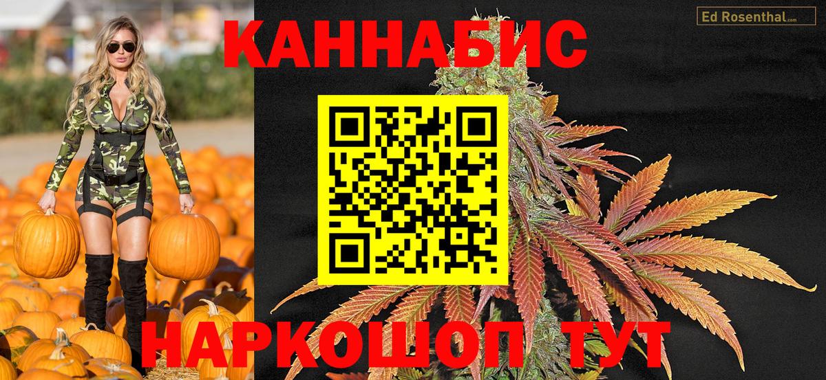 Конопля MAZAR Александров