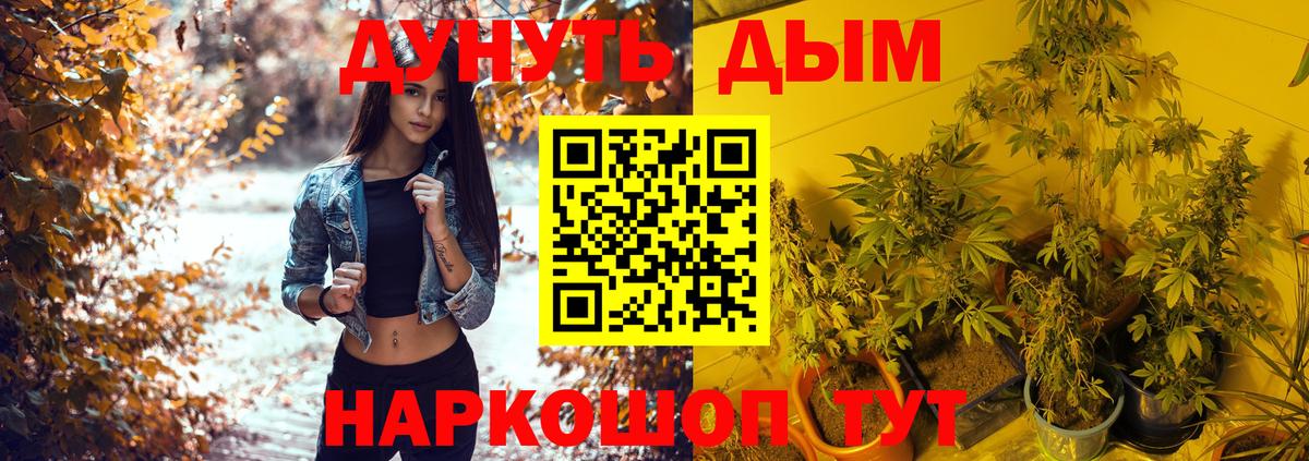 МАРИХУАНА Bruce Banner  Марихуана OG Kush  Вход с VPN  Александров 